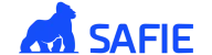 Logo Webp
