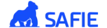 Logo Webp